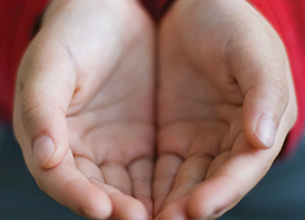 Arvest Million Meals - Vimarsana News